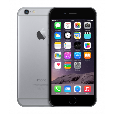 iPhone 6 Gris Sidéral 64 Go...